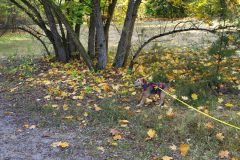 20251018_141105-scaled